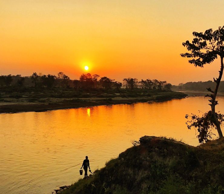 From Kathmandu/Pokhara: 3-Day All-Inclusive Chitwan Safari - Key things I’d circle before you go