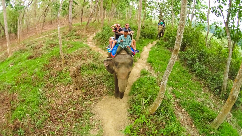 From Kathmandu/Pokhara: 3-Day All-Inclusive Chitwan Safari - Why Chitwan works so well in just 3 days