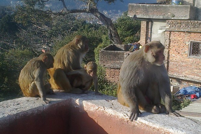 Full Day Kathmandu City Sightseeing Tour of UNESCO Heritage Sites - Swayambhunath Temple: The Day’s Best View and a Good First Impression