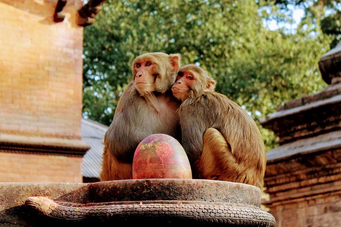 Full Day Private Tour of Kathmandu - UNESCO World Heritage Sites - Who This Tour Fits Best