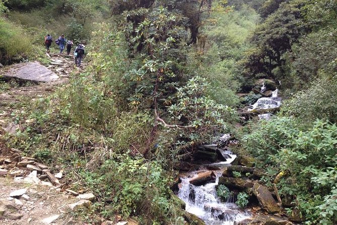 Ghorepani Poon Hill Trek - Poon Hill sunrise: the view math you’ll actually care about