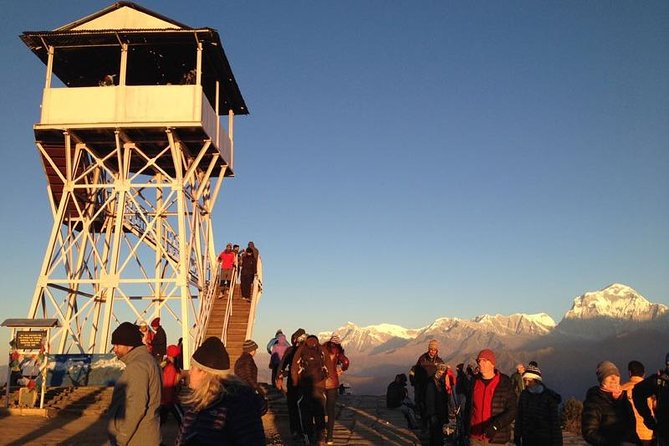 Ghorepani Poon Hill Trek - Day 1: Nayapul to Ulleri—views early, climbing later