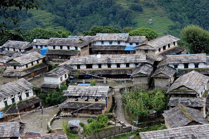 Ghorepani Poon Hill Trek - Day 2: Ulleri up, Bhanthati through forests—this is where the trail rhythm hits