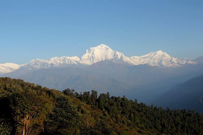 Ghorepani Poon Hill Trek - Meals, tea, and teahouse comfort (including that attached-bath detail)