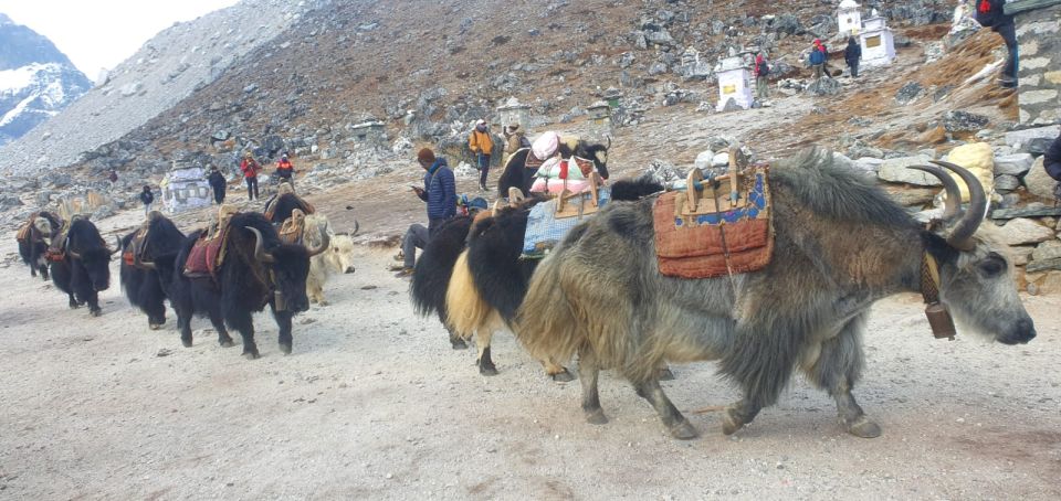 Kathmandu: 14-Day Everest Base Camp with Kala Patthar Trek - Guides and support: what’s paid for, and why it matters