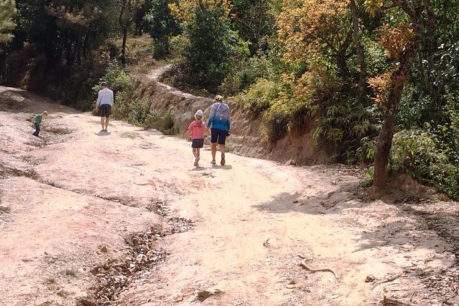 Kathmandu: 2 Nights 3 Days Chisapani Nagarkot Trek - Day 2 to Nagarkot: forest walking, terraced fields, and viewpoint payback