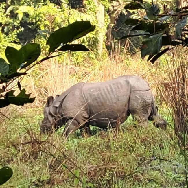 Kathmandu: 3-Day Chitwan Safari Tour with Hotel Transfers - Key Points You’ll Notice on This Tour