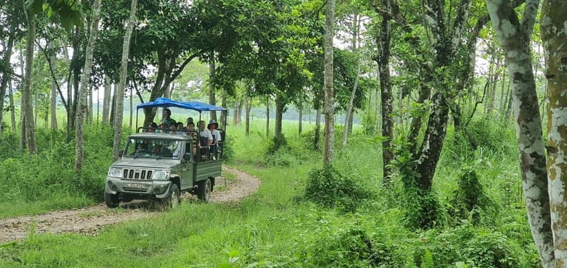 Kathmandu: 3-Day Chitwan Safari Tour with Hotel Transfers - Where the Wildlife Moments Fit Best (And What You Should Expect)