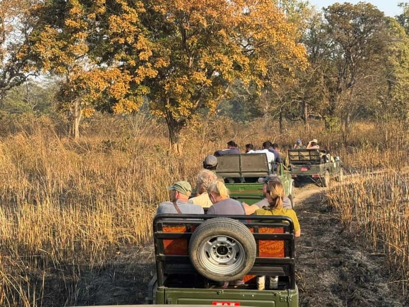 Kathmandu: 3-Day Chitwan Safari Tour with Hotel Transfers - Who This Tour Fits Best (And Who Might Want Something Else)