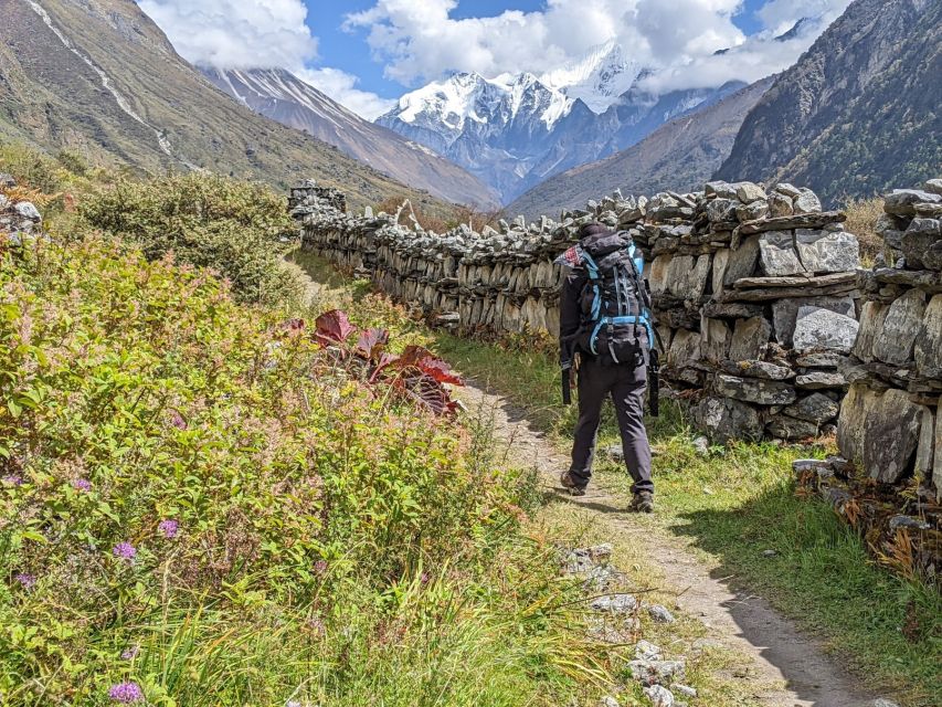 Kathmandu: 6-Day Limitless Langtang Trek - Price and Logistics: What $181 Really Buys (and What It Doesn’t)