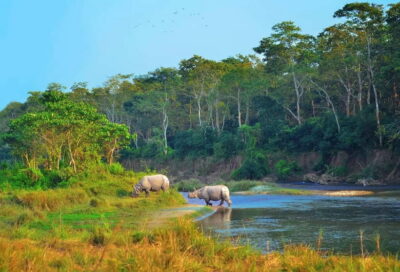 Kathmandu/Pokhara: 3 Day Chitwan Jungle Safari Tour - Getting to Chitwan: Pokhara or Kathmandu, and what the long ride means