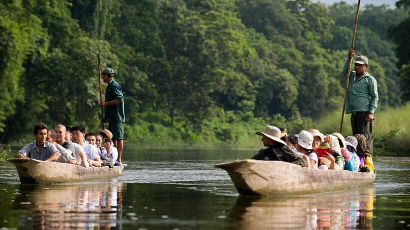 Kathmandu/Pokhara: 3 Day Chitwan Jungle Safari Tour - What wildlife viewing really feels like here (and how to set expectations)