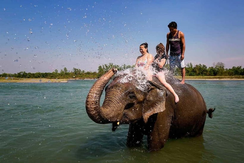 Kathmandu/Pokhara: 3 Day Chitwan Jungle Safari Tour - Price and value: what $129 buys you (and what it might not)