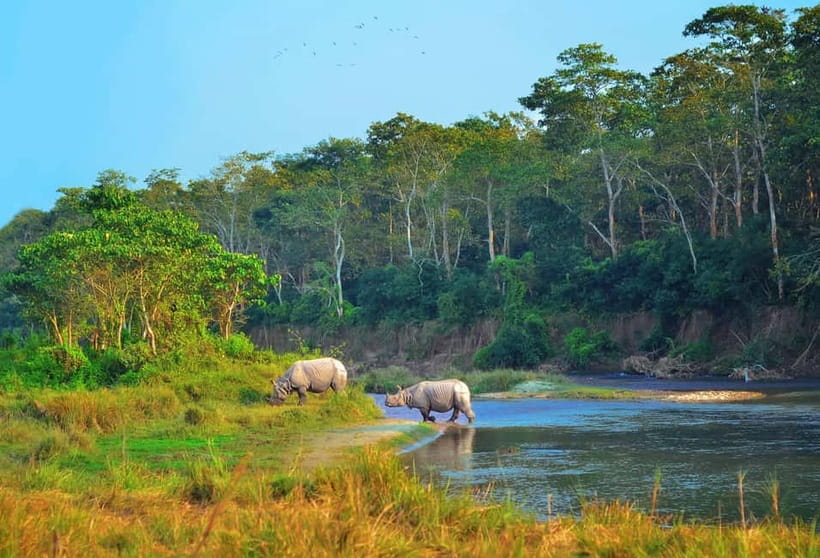 Kathmandu/Pokhara: 3 Day Chitwan Jungle Safari Tour - Getting to Chitwan: Pokhara or Kathmandu, and what the long ride means