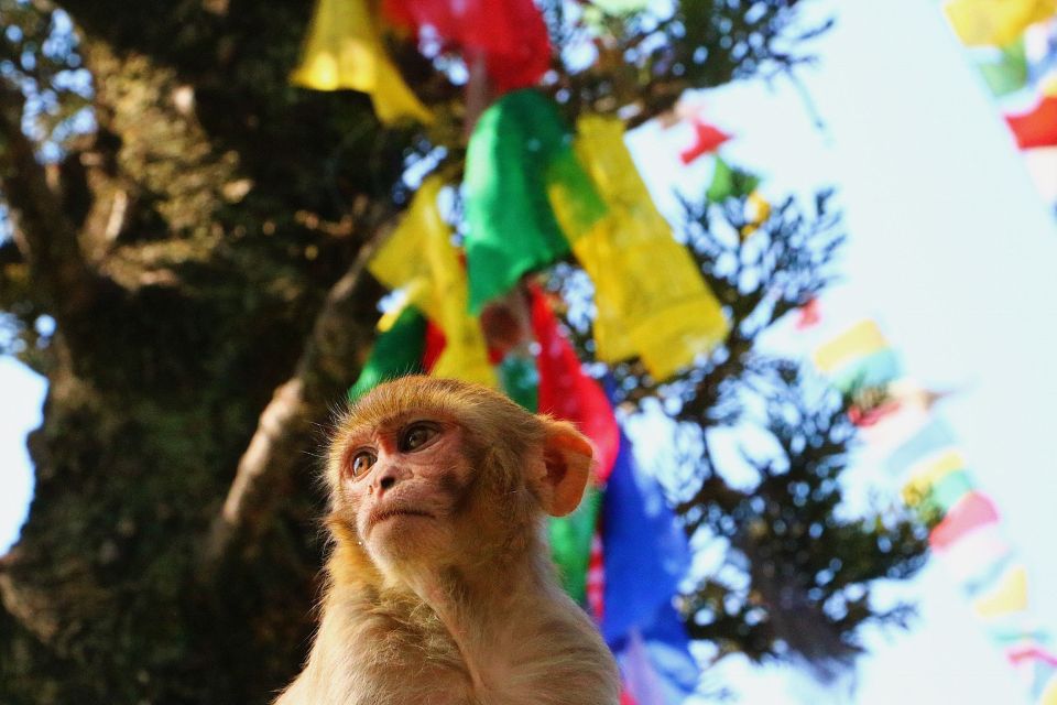Kathmandu: Private City Guided Tour - The Everest View Hotel Stop: Why It’s Worth Including