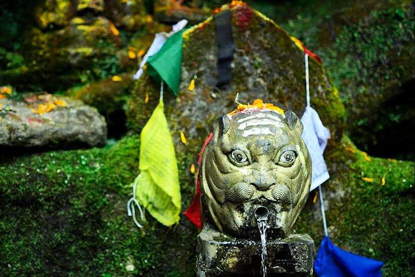 Kathmandu: Shivapuri Day Hike with Lunch - Key highlights worth planning around