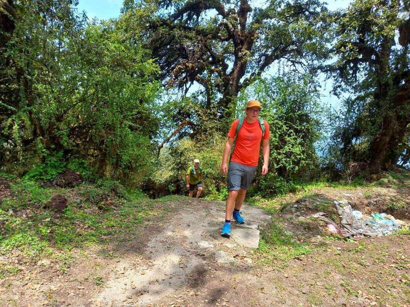 Kathmandu: Shivapuri Day Hike with Lunch - Why Shivapuri Peak Works as a Kathmandu Escape