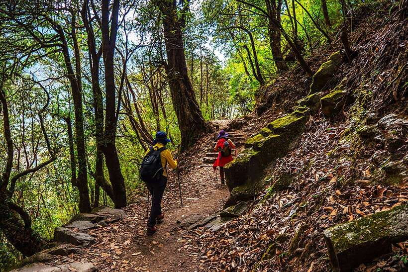 Kathmandu: Shivapuri Day Hike with Lunch - Price and Value: What $3.80 Buys for a Private Day Hike