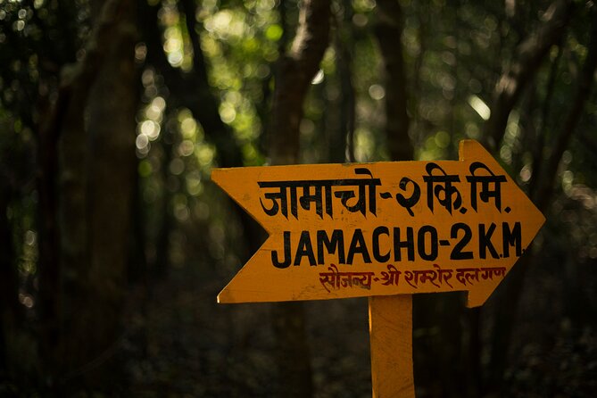 Kathmandu Shivapuri National Park and Nagarkot Hiking - 3 Days - Day 2: Trekking Through Shivapuri Toward Chisopani Views