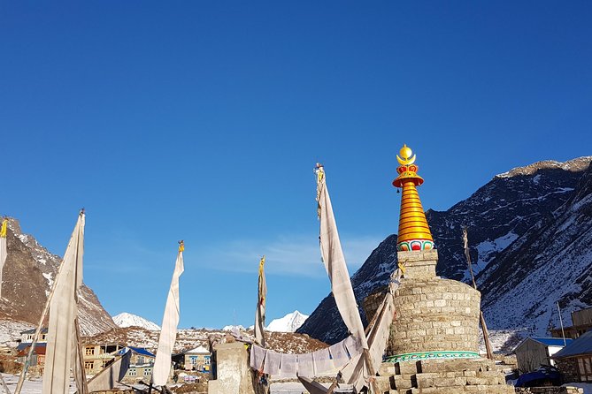 Langtang Valley Trek - Guides, porters, and the small-group advantage on this route
