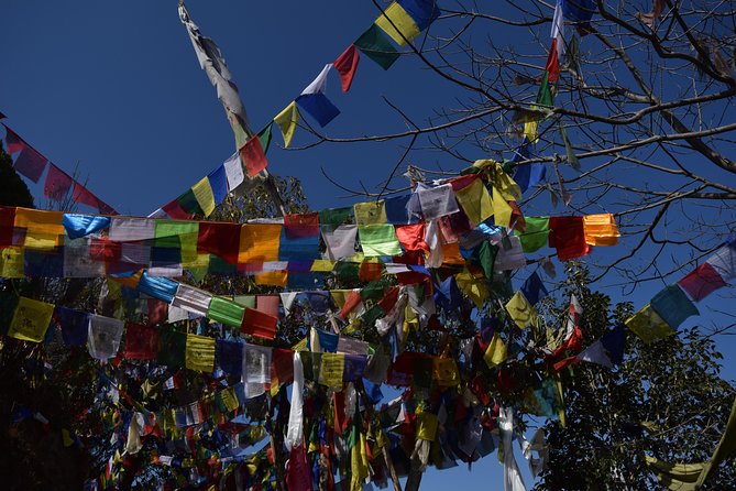 Namo Buddha and Thrangu Tashi Yangtse Monastery Half-Day Tour - Getting There: Meeting Point, Timing, and Transport Reality