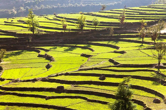 Namobuddha Monastery Hiking Day Tour via Panauti from Kathmandu - The hike essentials: altitude, distance, and comfort matters