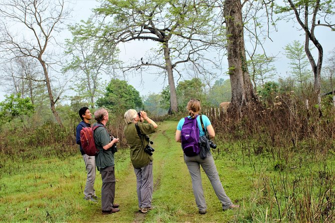 Nepal Birding - If your route includes Chitwan-style birding, here’s what to expect