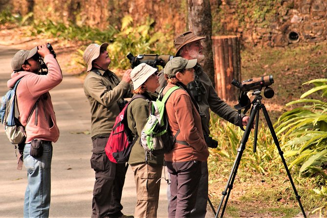 Nepal Birding - What you’re paying for: value at $225 per person