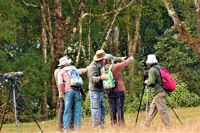 Nepal Birding - Bird guide quality: what the guide names and reputations tell you