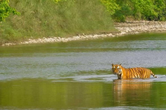 Nepal Classic Tour -12 Days - Bandipur’s Newari Charm and the Trishuli River Drive Back (Days 10–11)