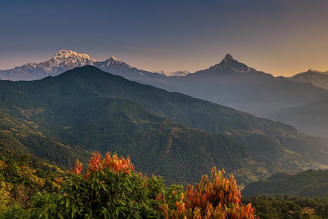 Nepal Cultural Highlights Tour in 10 Days - From Tribhuvan Airport to Thamel: a smooth start in Kathmandu