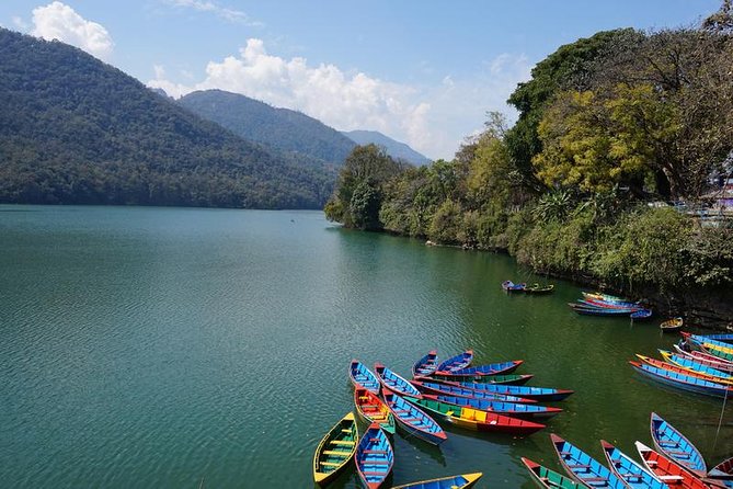 Nepal in Luxury: Kathmandu, Chitwan & Pokhara Escape – 8 Days - Chitwan National Park safari days: rhinos, canoe time, and how the full schedule works