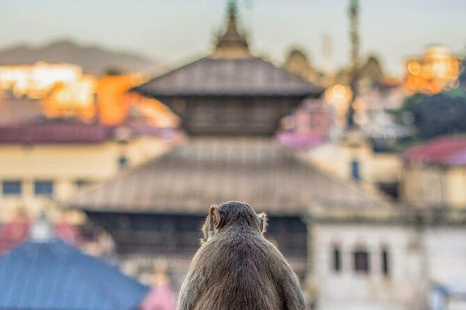 PashupatiNath and BoudhaNath - Private/Small Group - Guru Lhakhang Monastery: Padmasambhava and the Dharma Chakra Story