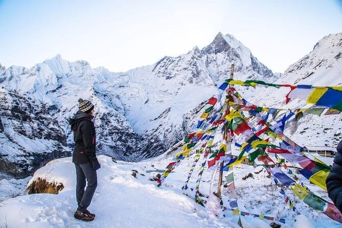 Poon Hill Trek package - Day 3: Rhododendron forest to Ghorepani