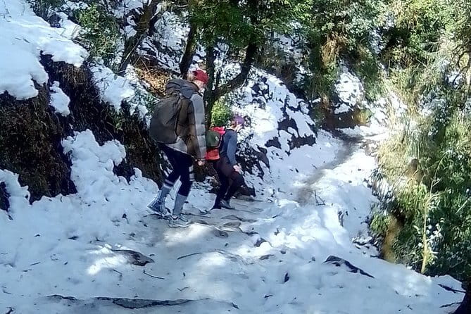 Poon Hill Trek package - Day 5: Ghandruk down to Syauli Bazzar and back to Birethanti