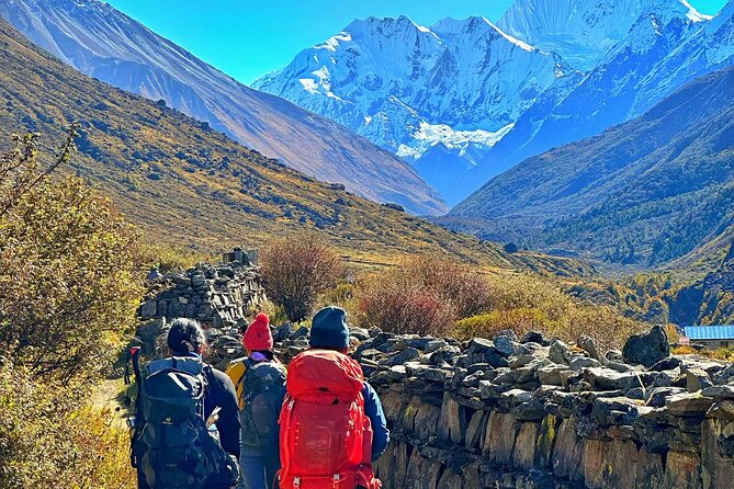 Private 8 - Day Langtang Trekking - Day 6 Back Down: Easier Trek Days Through Rhododendron Forest