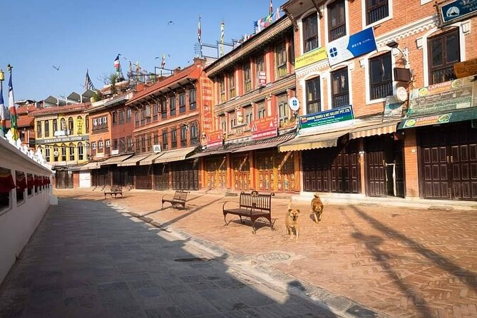 Private Tour of 4 UNESCO Heritage Sites in Kathmandu by Car - Stop 3: Pashupatinath Temple and the Power of a Sacred Pilgrimage Site