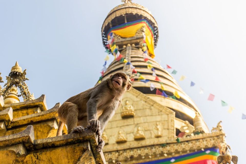 Spiritual Nepal: Expert insight into Multifaith Journey - Price and value: what $150 buys you in real terms